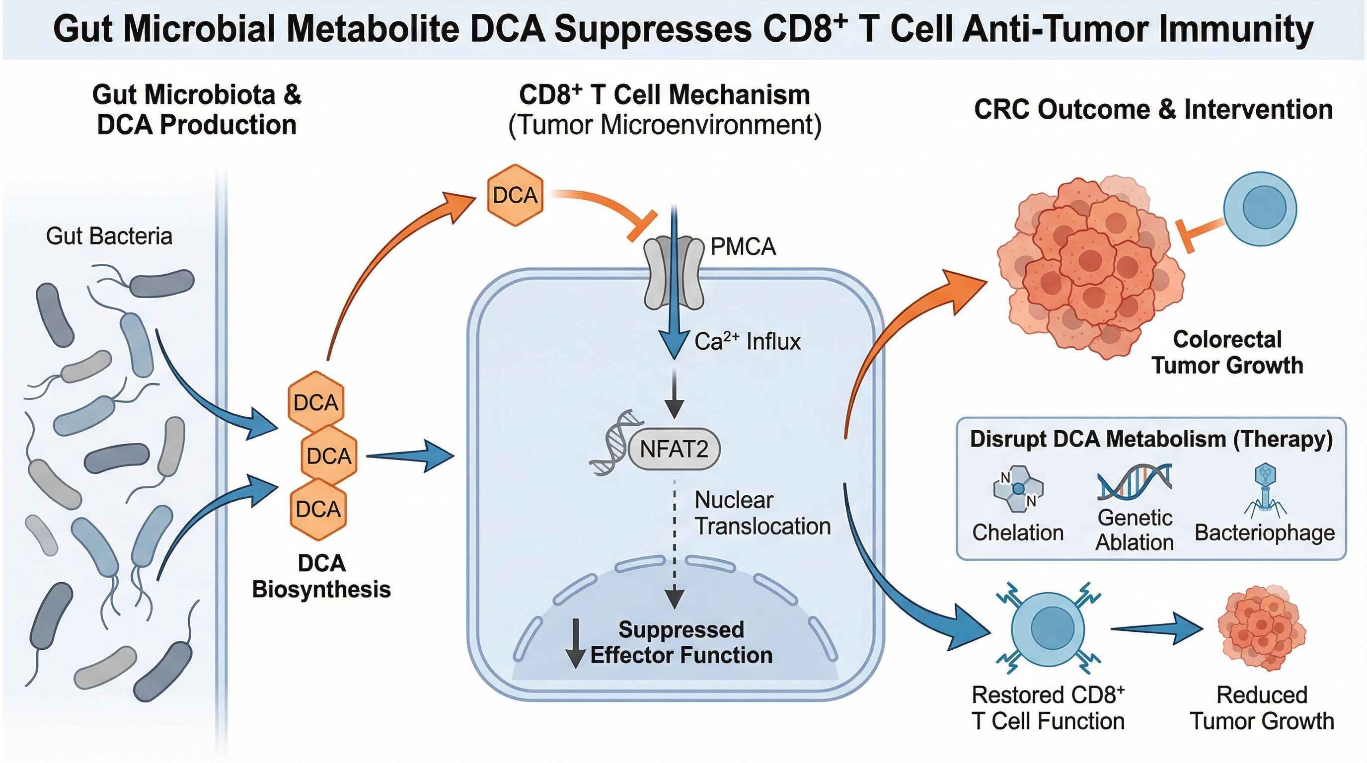Example Graphical Abstract